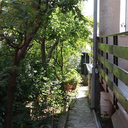 Zadar Diklo 6453a * Molat